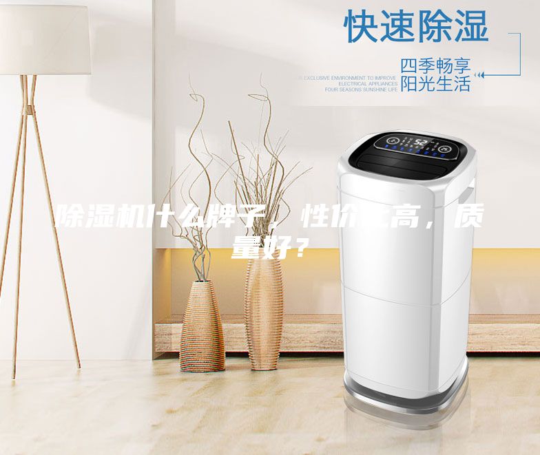 除濕機(jī)什么牌子，性價(jià)比高，質(zhì)量好？