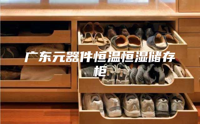 廣東元器件恒溫恒濕儲(chǔ)存柜