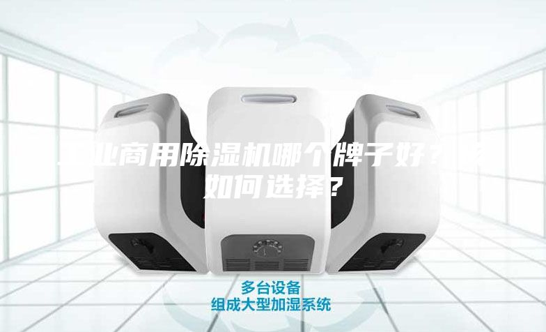 工業(yè)商用除濕機哪個牌子好？該如何選擇？