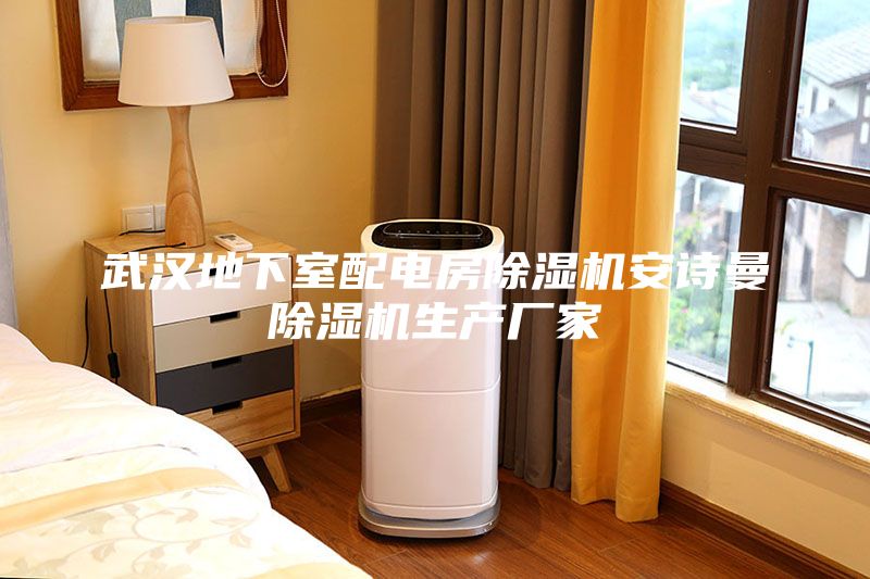 武漢地下室配電房除濕機安詩曼除濕機生產(chǎn)廠家