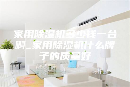 家用除濕機(jī)多少錢一臺(tái)啊_家用除濕機(jī)什么牌子的質(zhì)量好