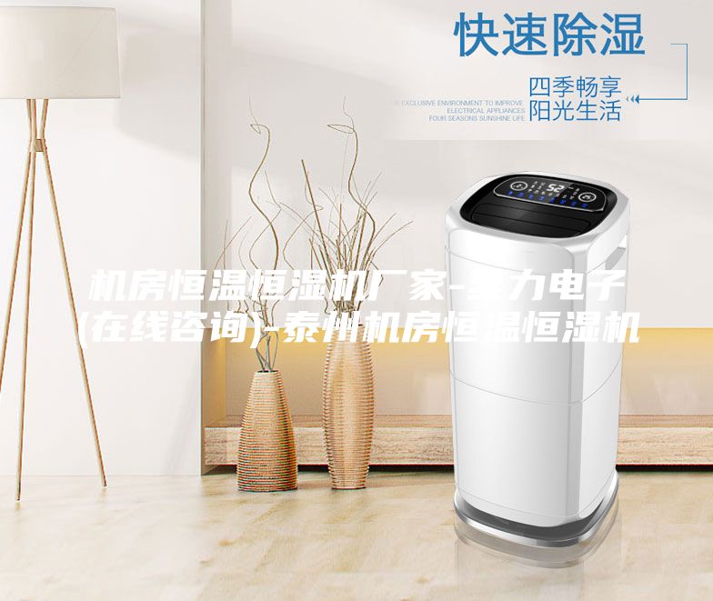機房恒溫恒濕機廠家-至力電子(在線咨詢)-泰州機房恒溫恒濕機