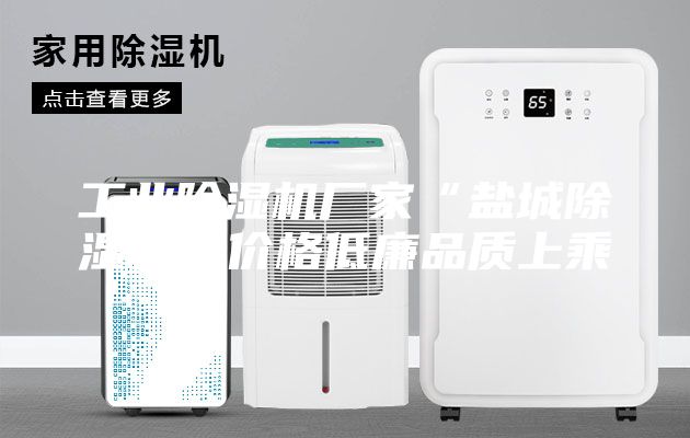 工業(yè)除濕機廠家“鹽城除濕機”價格低廉品質(zhì)上乘
