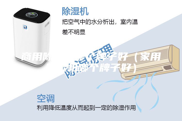 商用除濕機(jī)哪個牌子好（家用除濕機(jī)哪個牌子好）
