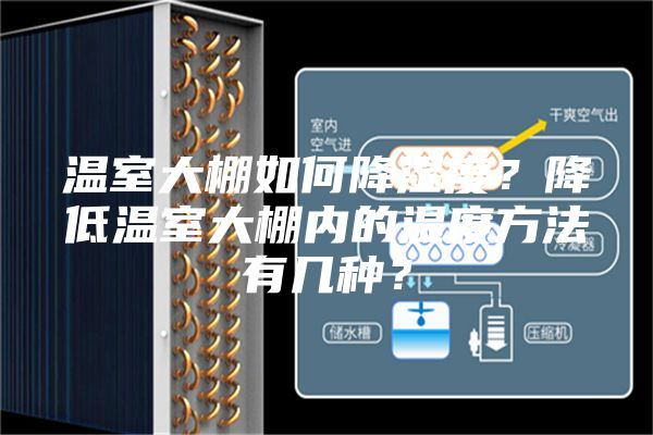 溫室大棚如何降濕度？降低溫室大棚內(nèi)的濕度方法有幾種？