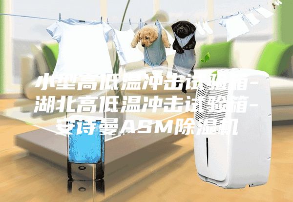 小型高低溫沖擊試驗箱-湖北高低溫沖擊試驗箱-安詩曼ASM除濕機(jī)