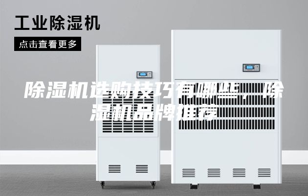 除濕機(jī)選購技巧有哪些，除濕機(jī)品牌推薦