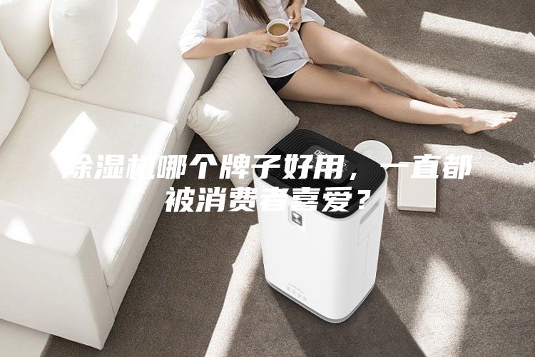除濕機哪個牌子好用，一直都被消費者喜愛？