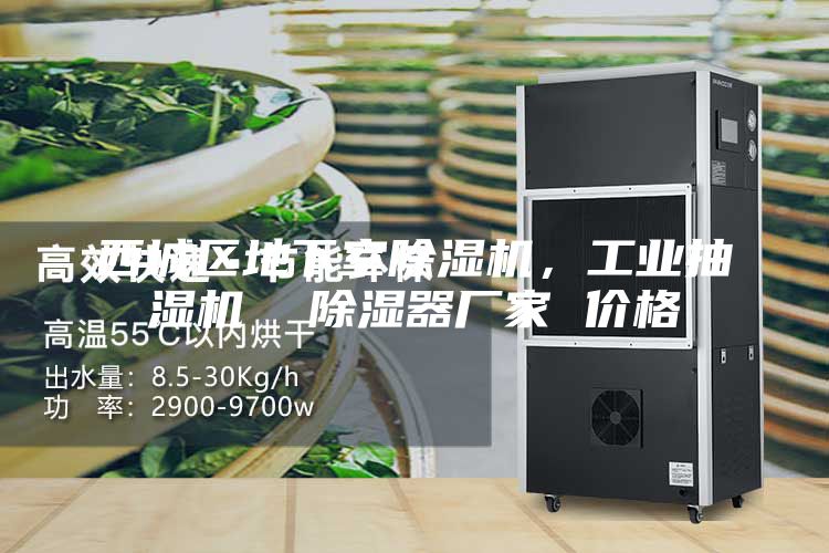 西城區(qū)地下室除濕機(jī)，工業(yè)抽濕機(jī)  除濕器廠家 價(jià)格
