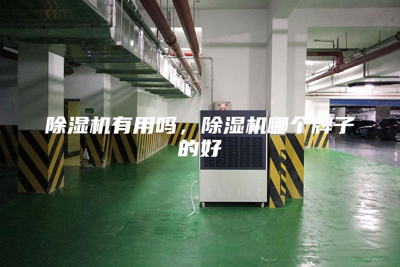 除濕機有用嗎，除濕機哪個牌子的好