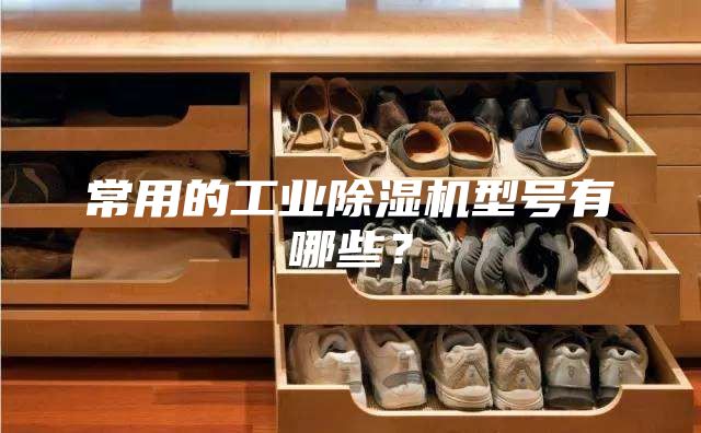 常用的工業(yè)除濕機(jī)型號(hào)有哪些？