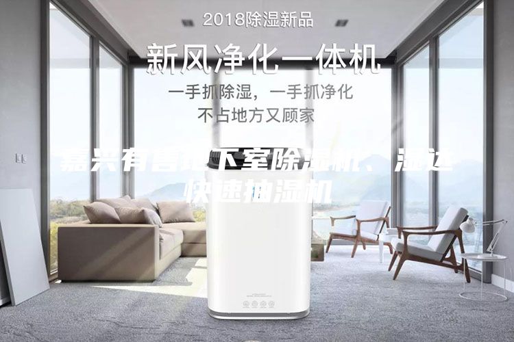嘉興有售地下室除濕機(jī)、濕達(dá)快速抽濕機(jī)