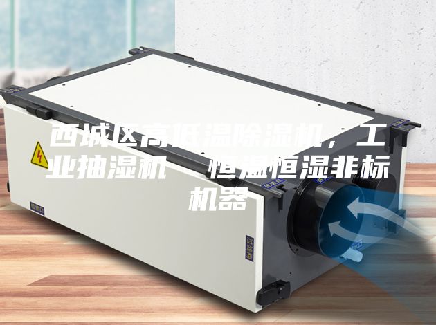 西城區(qū)高低溫除濕機，工業(yè)抽濕機  恒溫恒濕非標機器
