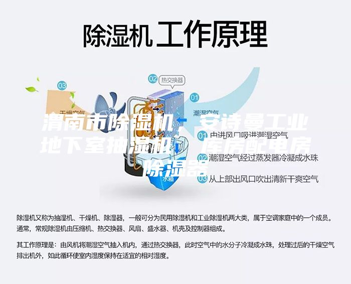 渭南市除濕機，安詩曼工業(yè)地下室抽濕機  庫房配電房除濕器
