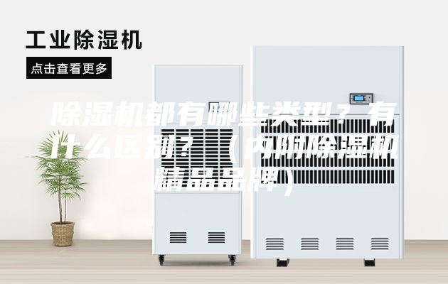 除濕機(jī)都有哪些類型？有什么區(qū)別？（內(nèi)附除濕機(jī)精品品牌）