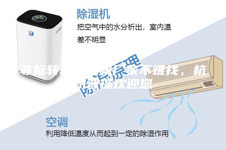 非標(biāo)轉(zhuǎn)輪除濕機(jī)廠家不難找，杭州普瑞歡迎您