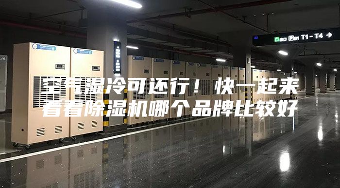 空氣濕冷可還行！快一起來看看除濕機(jī)哪個品牌比較好