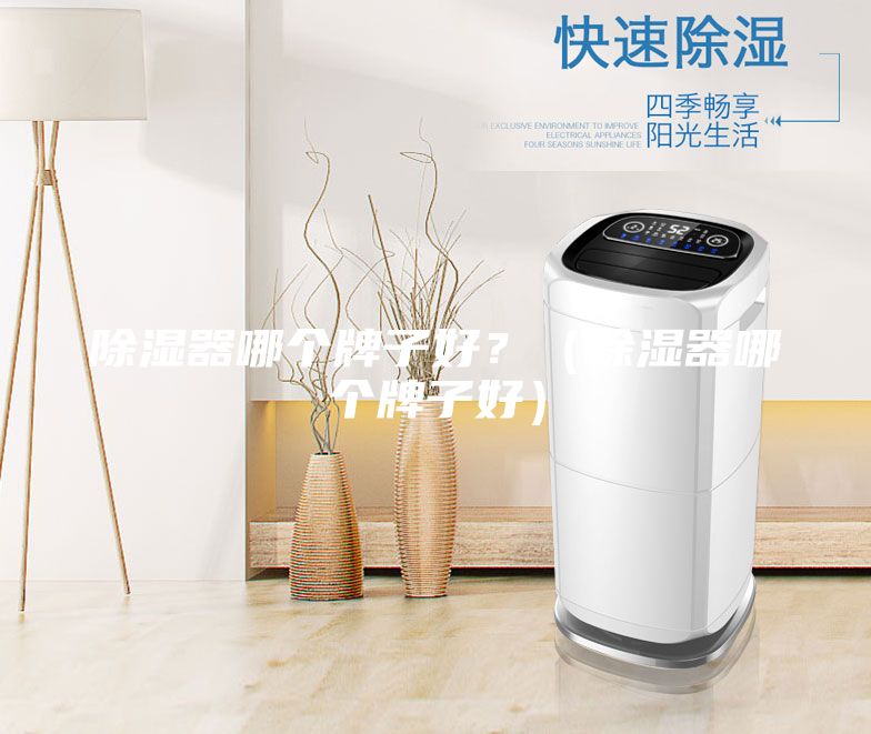 除濕器哪個(gè)牌子好？（除濕器哪個(gè)牌子好）