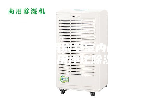 武漢家用別墅室內(nèi)除濕機(jī)，商用凈化除濕機(jī)