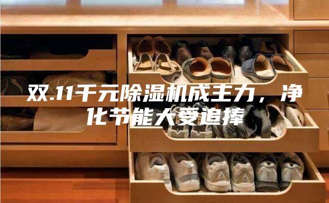雙.11千元除濕機成主力，凈化節(jié)能大受追捧