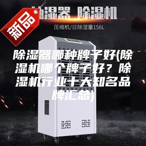 除濕器哪種牌子好(除濕機(jī)哪個(gè)牌子好？除濕機(jī)行業(yè)十大知名品牌匯總)