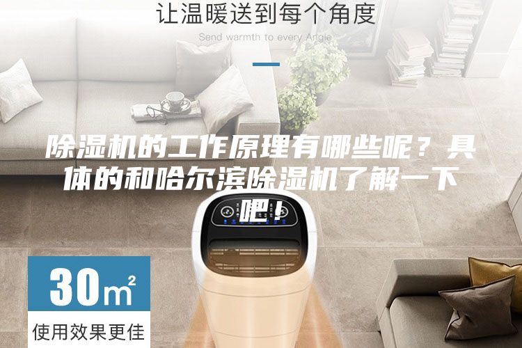 除濕機(jī)的工作原理有哪些呢？具體的和哈爾濱除濕機(jī)了解一下吧！