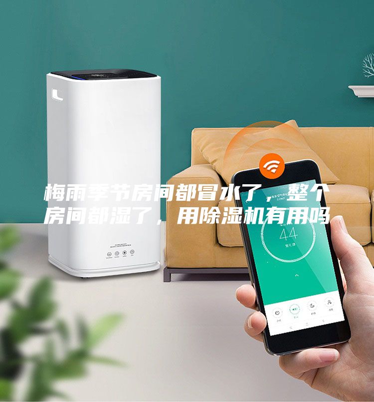 梅雨季節(jié)房間都冒水了，整個房間都濕了，用除濕機(jī)有用嗎