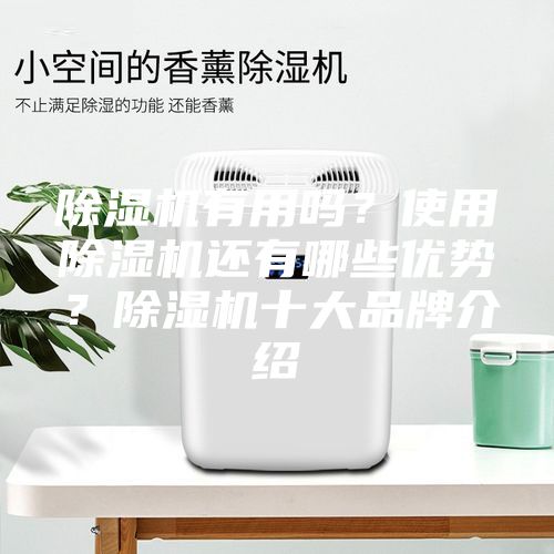 除濕機(jī)有用嗎？使用除濕機(jī)還有哪些優(yōu)勢(shì)？除濕機(jī)十大品牌介紹