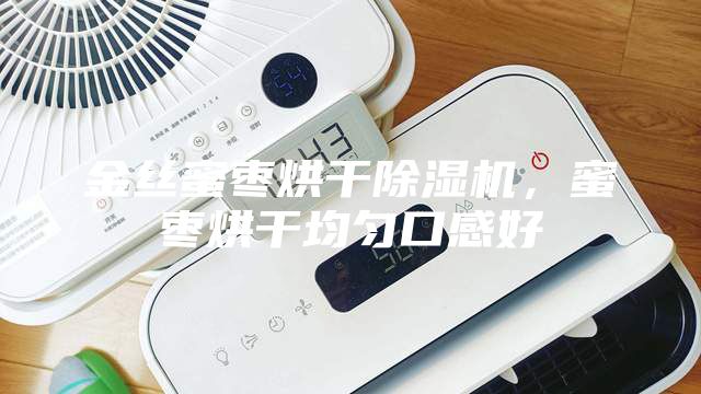 金絲蜜棗烘干除濕機(jī)，蜜棗烘干均勻口感好