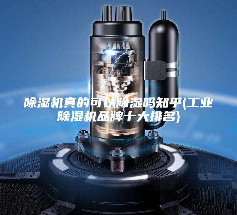 除濕機真的可以除濕嗎知乎(工業(yè)除濕機品牌十大排名)