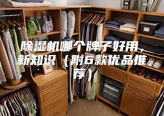 除濕機哪個牌子好用，新知識（附6款優(yōu)品推薦）