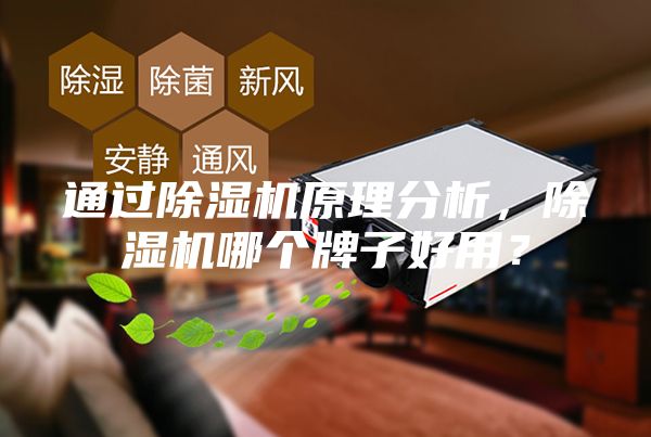 通過除濕機原理分析，除濕機哪個牌子好用？