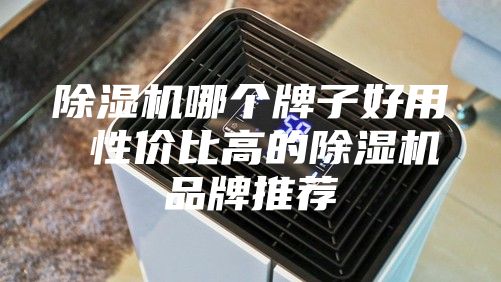 除濕機(jī)哪個(gè)牌子好用 性價(jià)比高的除濕機(jī)品牌推薦
