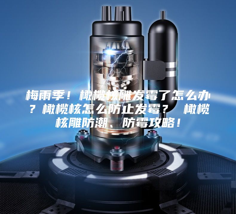 梅雨季！橄欖核雕發(fā)霉了怎么辦？橄欖核怎么防止發(fā)霉？ 橄欖核雕防潮、防霉攻略！