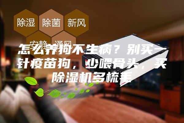 怎么養(yǎng)狗不生病？別買一針疫苗狗，少喂骨頭，買除濕機(jī)多梳毛