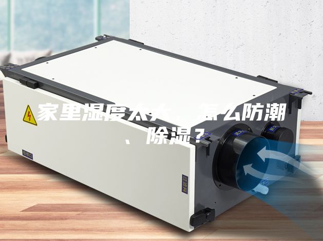 家里濕度太大，怎么防潮、除濕？
