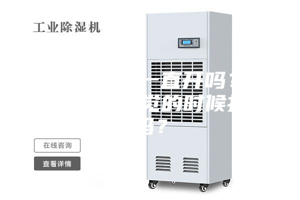 除濕器可以一直開(kāi)嗎？除濕機(jī)可以睡覺(jué)的時(shí)候打開(kāi)嗎？