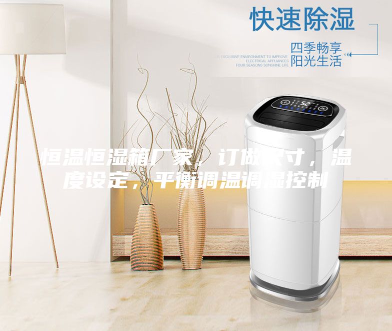 恒溫恒濕箱廠家，訂做尺寸，溫度設(shè)定，平衡調(diào)溫調(diào)濕控制