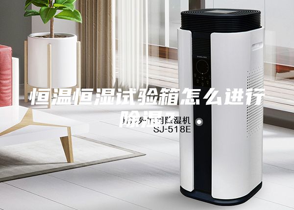 恒溫恒濕試驗(yàn)箱怎么進(jìn)行除濕？