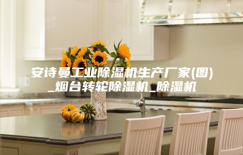 安詩(shī)曼工業(yè)除濕機(jī)生產(chǎn)廠家(圖)_煙臺(tái)轉(zhuǎn)輪除濕機(jī)_除濕機(jī)