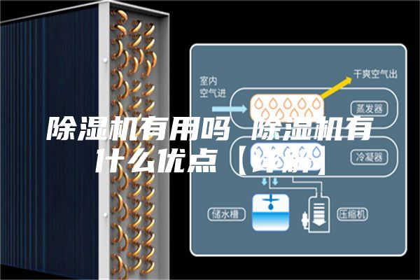 除濕機(jī)有用嗎 除濕機(jī)有什么優(yōu)點【詳解】