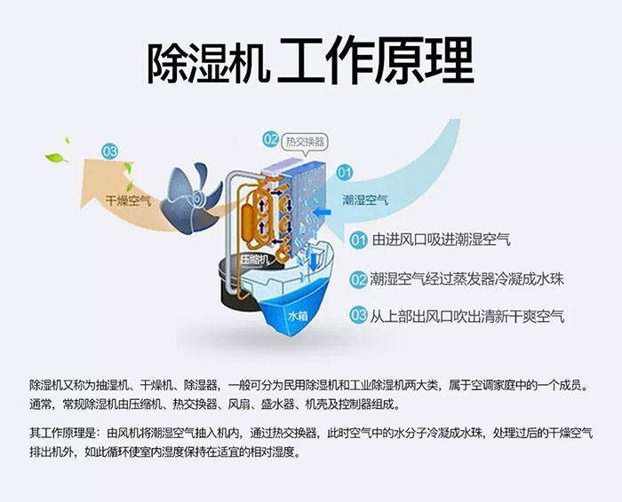 蜈蚣出沒潮濕區(qū)，安詩曼除濕機消除蜈蚣隱患