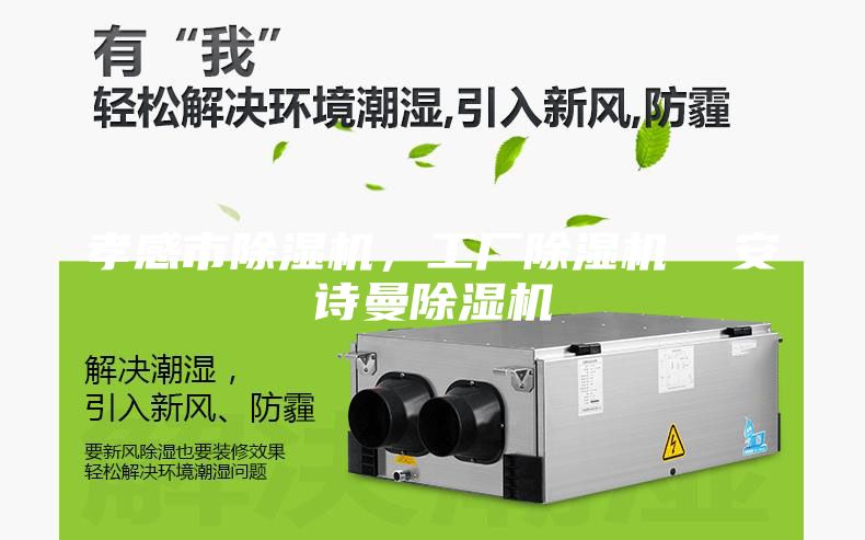 孝感市除濕機，工廠除濕機  安詩曼除濕機