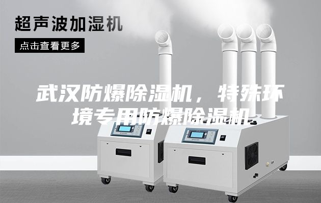 武漢防爆除濕機(jī)，特殊環(huán)境專用防爆除濕機(jī)