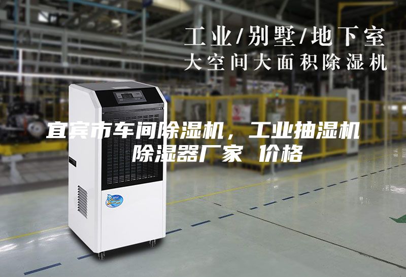宜賓市車間除濕機(jī)，工業(yè)抽濕機(jī)  除濕器廠家 價格