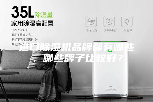 進(jìn)口除濕機(jī)品牌都有哪些，哪些牌子比較好？