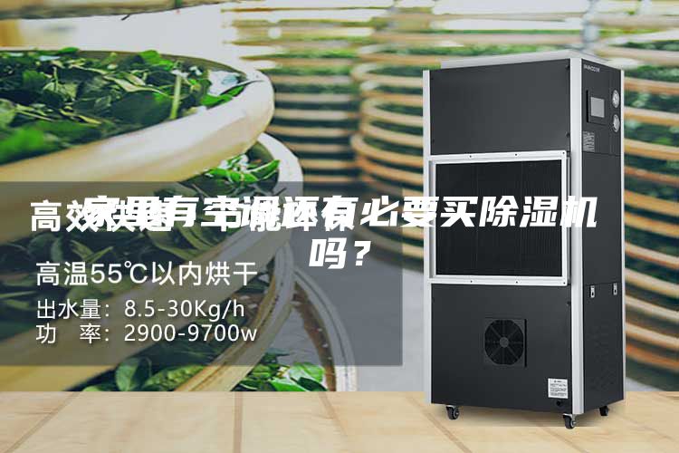 家里有空調(diào)還有必要買除濕機(jī)嗎？