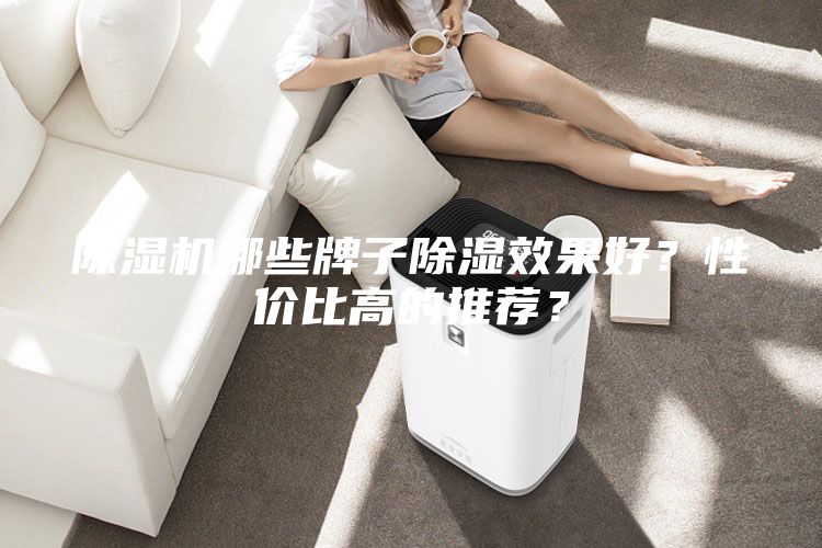 除濕機(jī)哪些牌子除濕效果好？性價(jià)比高的推薦？