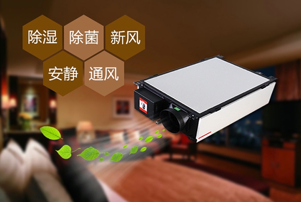 回南天如何防潮濕？選對除濕機(jī)高枕無憂