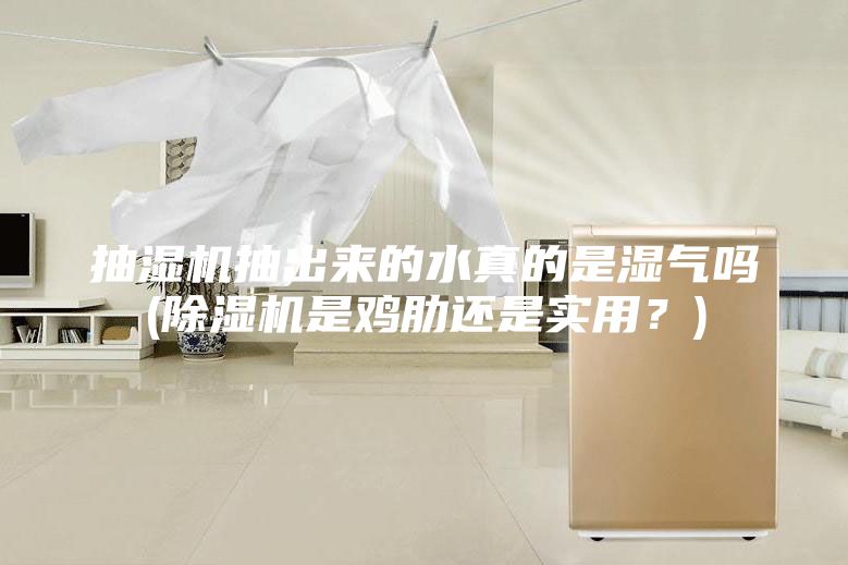 抽濕機(jī)抽出來的水真的是濕氣嗎(除濕機(jī)是雞肋還是實(shí)用？)